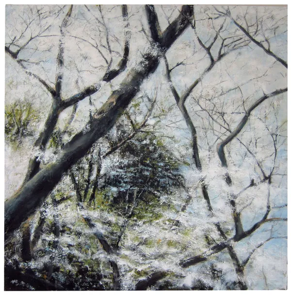 Hiroshima 34.3853° N, 132.4553° E